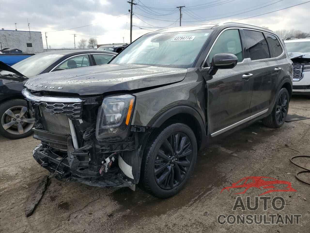 KIA TELLURIDE 2021 - 5XYP5DHC1MG147269