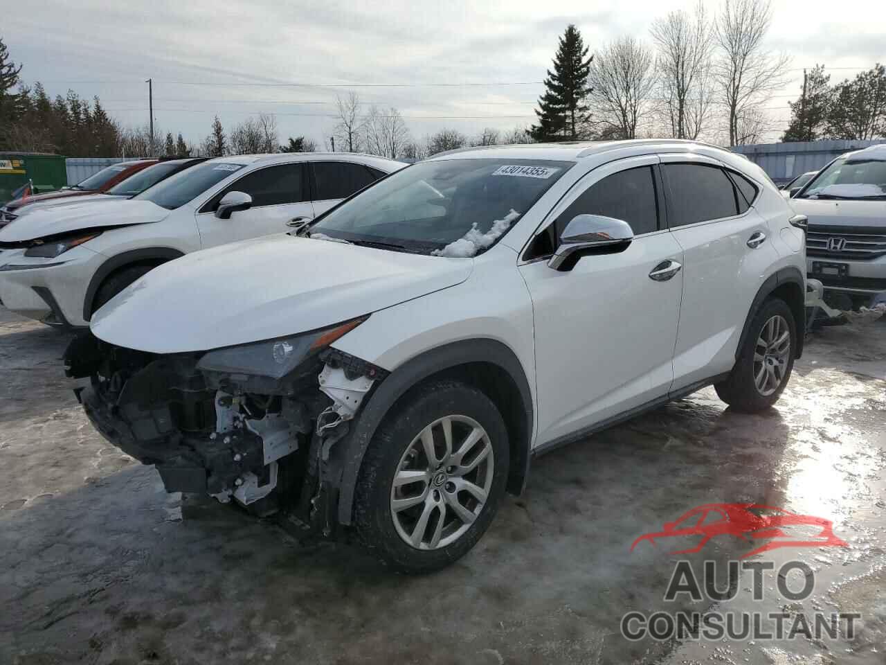 LEXUS NX 2020 - JTJGARDZ6L5014742