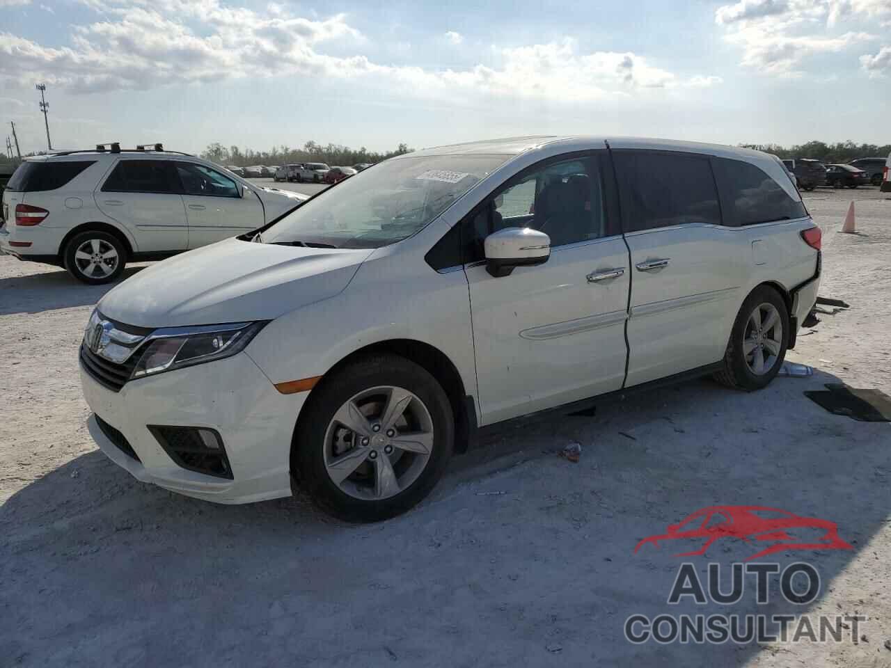 HONDA All Models 2019 - 5FNRL6H71KB004176