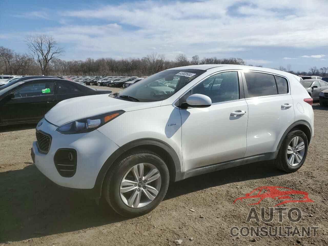 KIA SPORTAGE 2019 - KNDPMCAC3K7599872