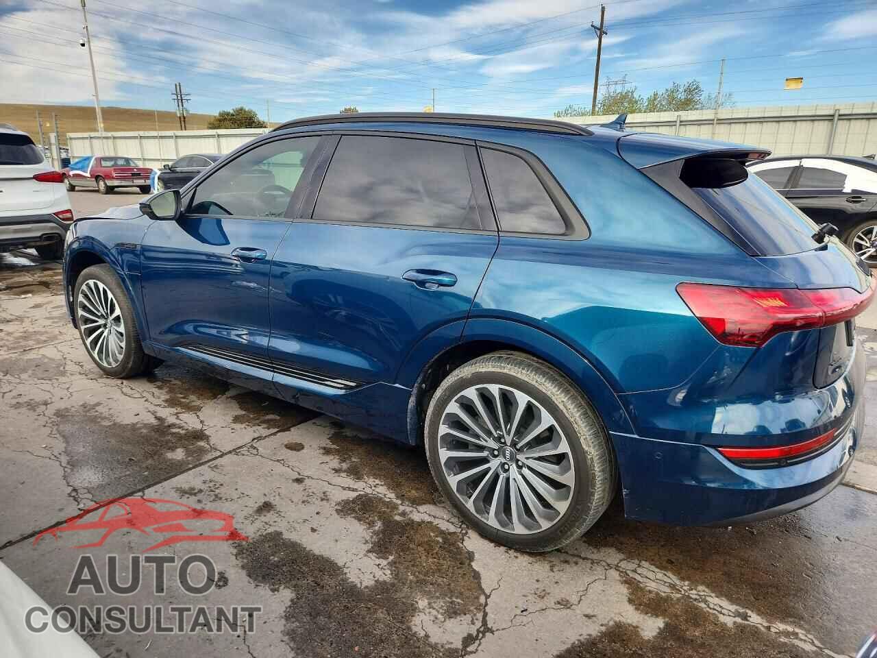 AUDI E-TRON 2019 - WA1VABGE3KB021877