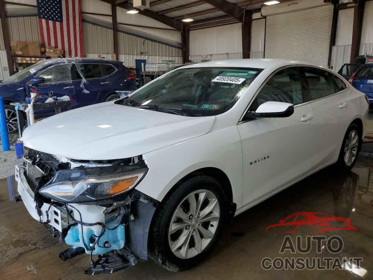 CHEVROLET MALIBU 2019 - 1G1ZD5ST3KF193706