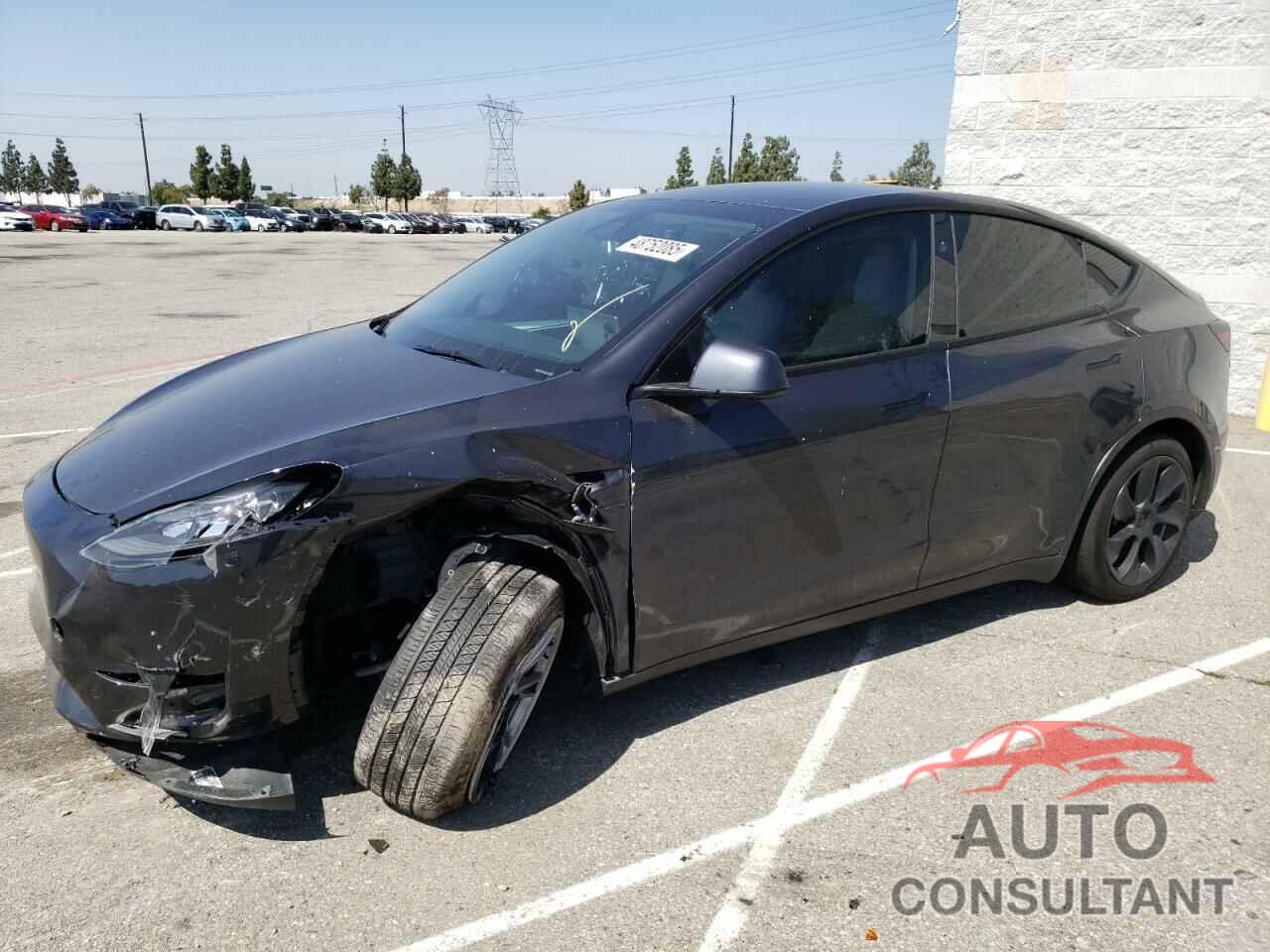 TESLA MODEL Y 2024 - 7SAYGDED1RF089192