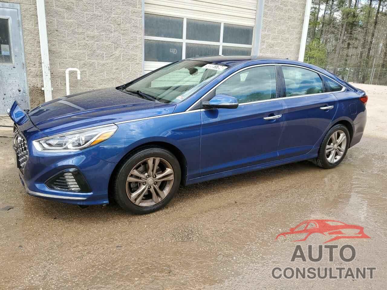 HYUNDAI SONATA 2019 - 5NPE34AF0KH741312