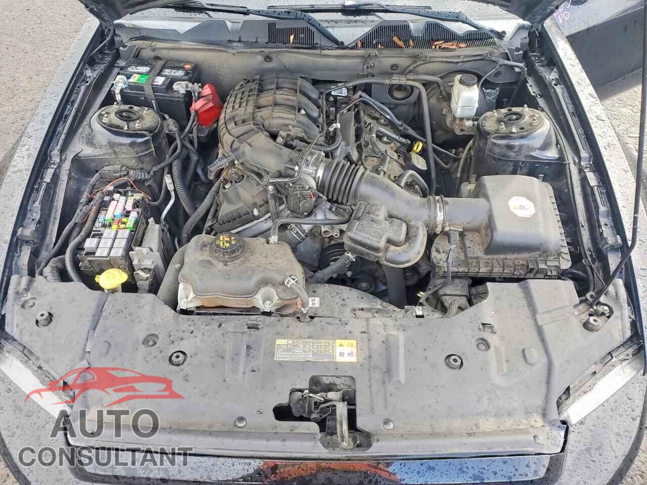 FORD MUSTANG 2014 - 1ZVBP8AM8E5299930