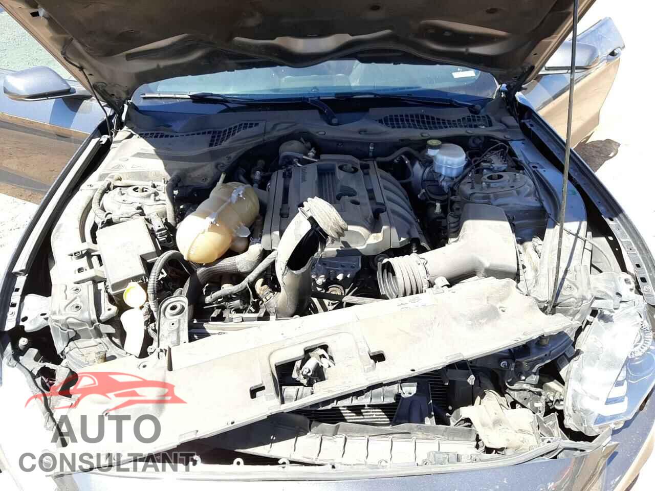FORD MUSTANG 2019 - 1FA6P8TH0K5154211