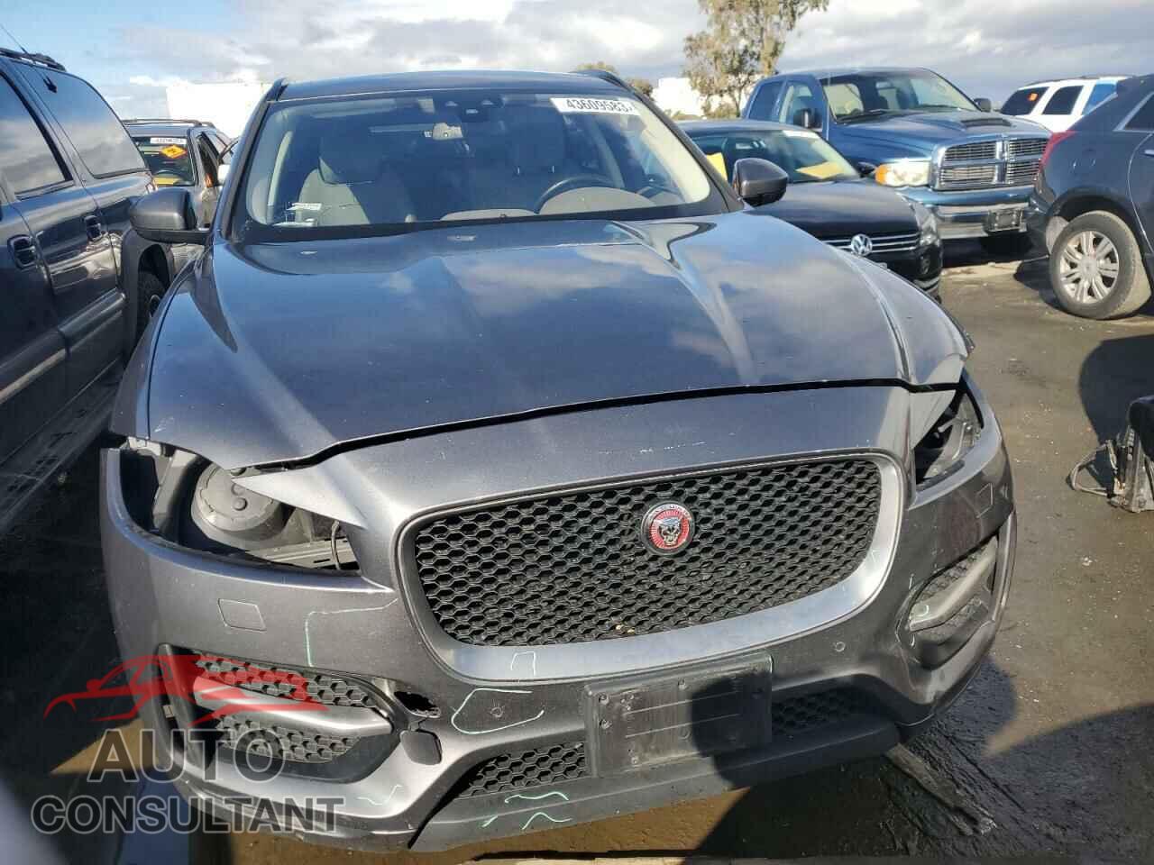 JAGUAR F-PACE 2017 - SADCL2BV9HA074620