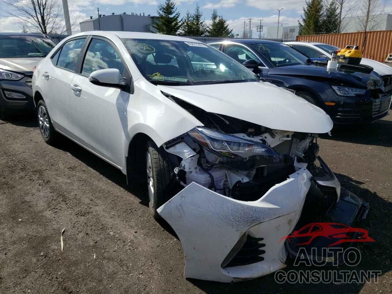 TOYOTA COROLLA 2019 - 2T1BURHE0KC159725