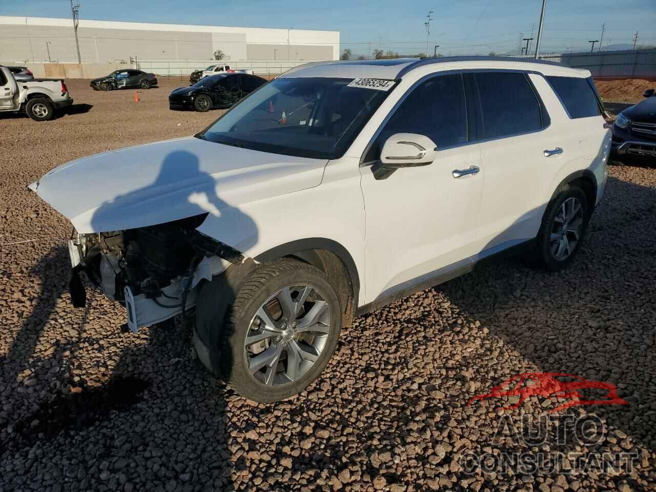 HYUNDAI PALISADE 2020 - KM8R4DHE6LU080805