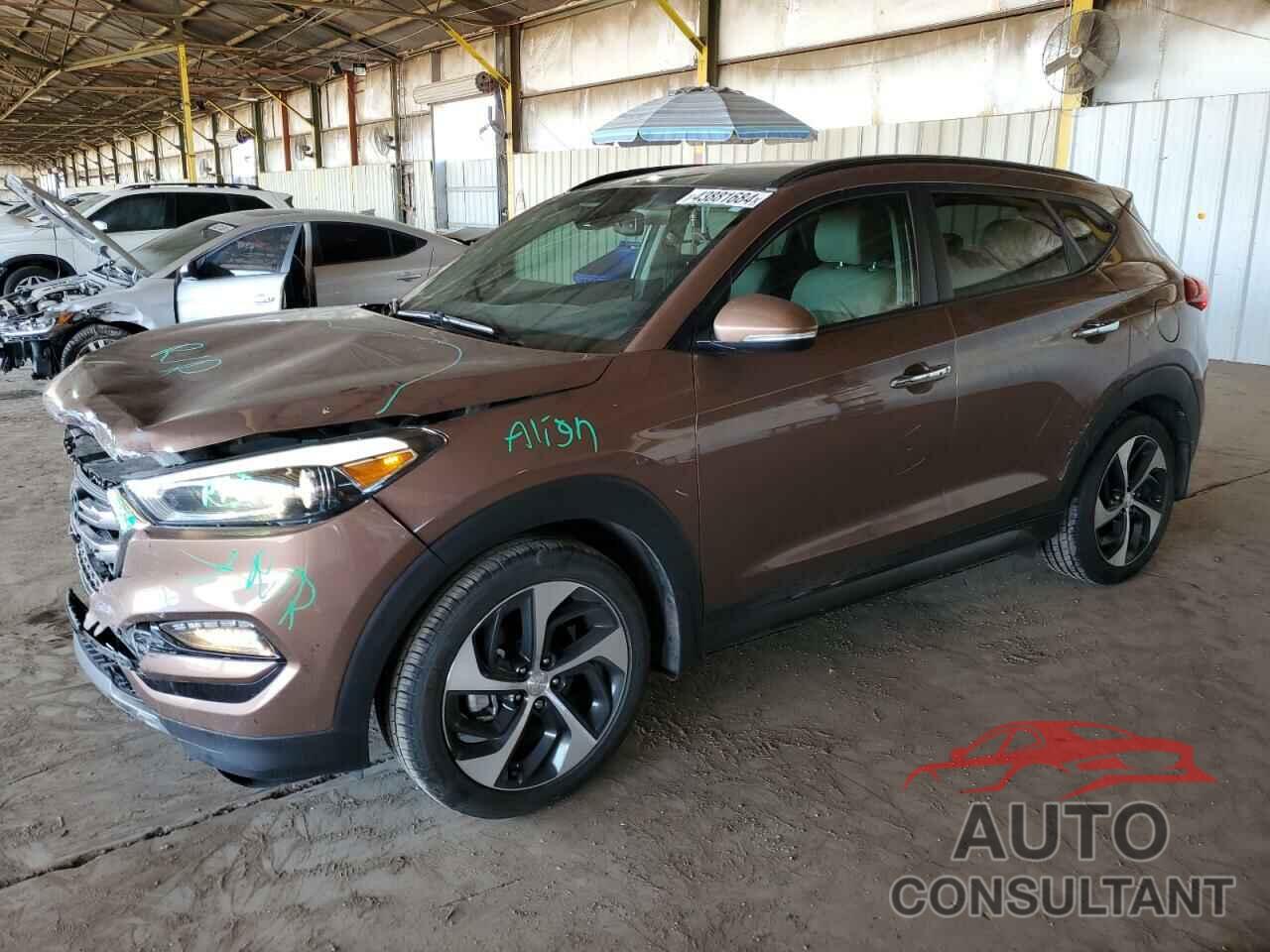 HYUNDAI TUCSON 2016 - KM8J33A23GU095701