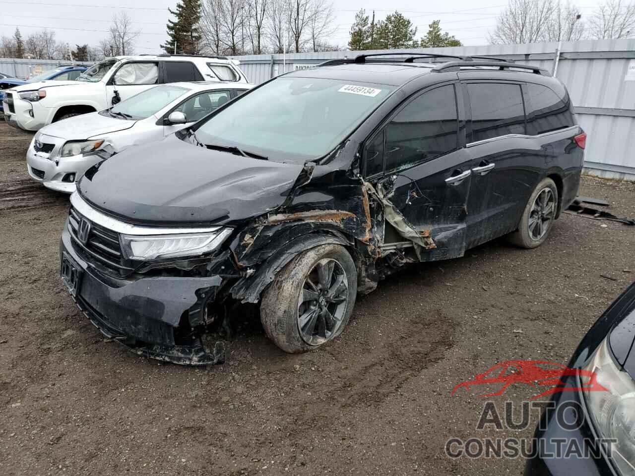 HONDA ODYSSEY 2022 - 5FNRL6H86NB500698