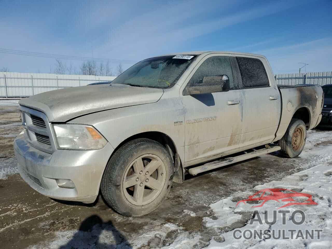 DODGE All Models 2011 - 1D7RV1CTXBS698957