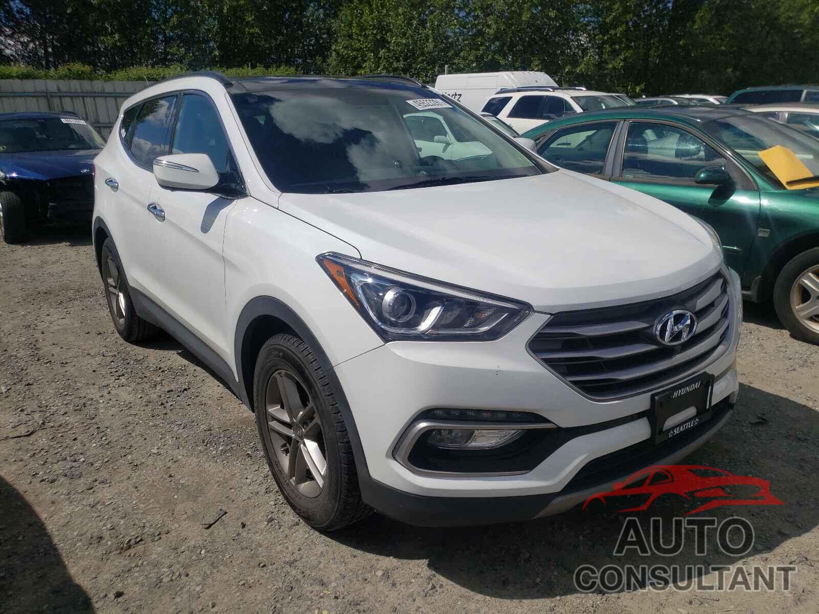 HYUNDAI SANTA FE 2017 - 5NMZUDLB9HH043800