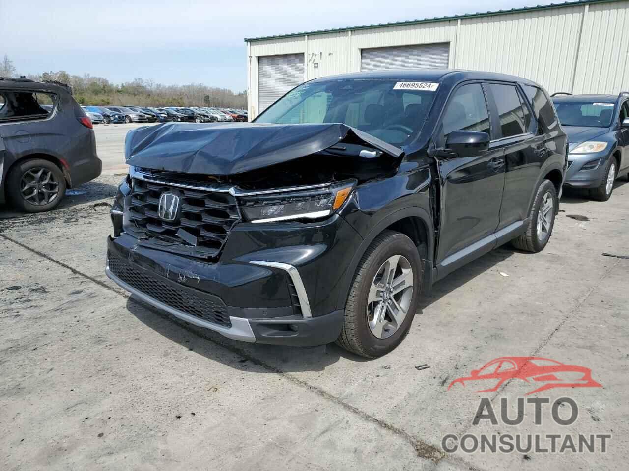 HONDA PILOT 2024 - 5FNYG2H51RB009430