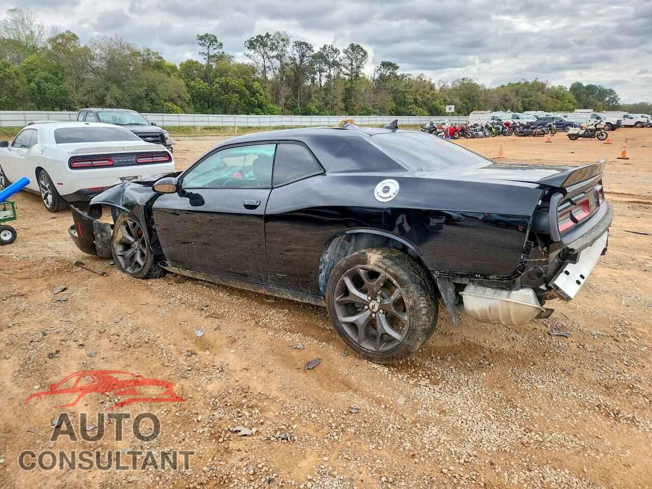 DODGE CHALLENGER 2019 - 2C3CDZAG7KH729343