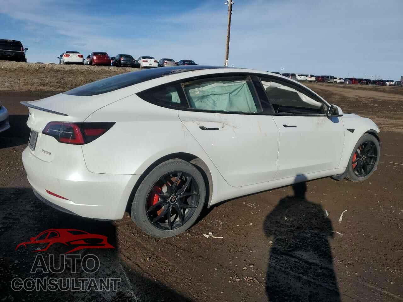 TESLA MODEL 3 2021 - 5YJ3E1EC4MF050592