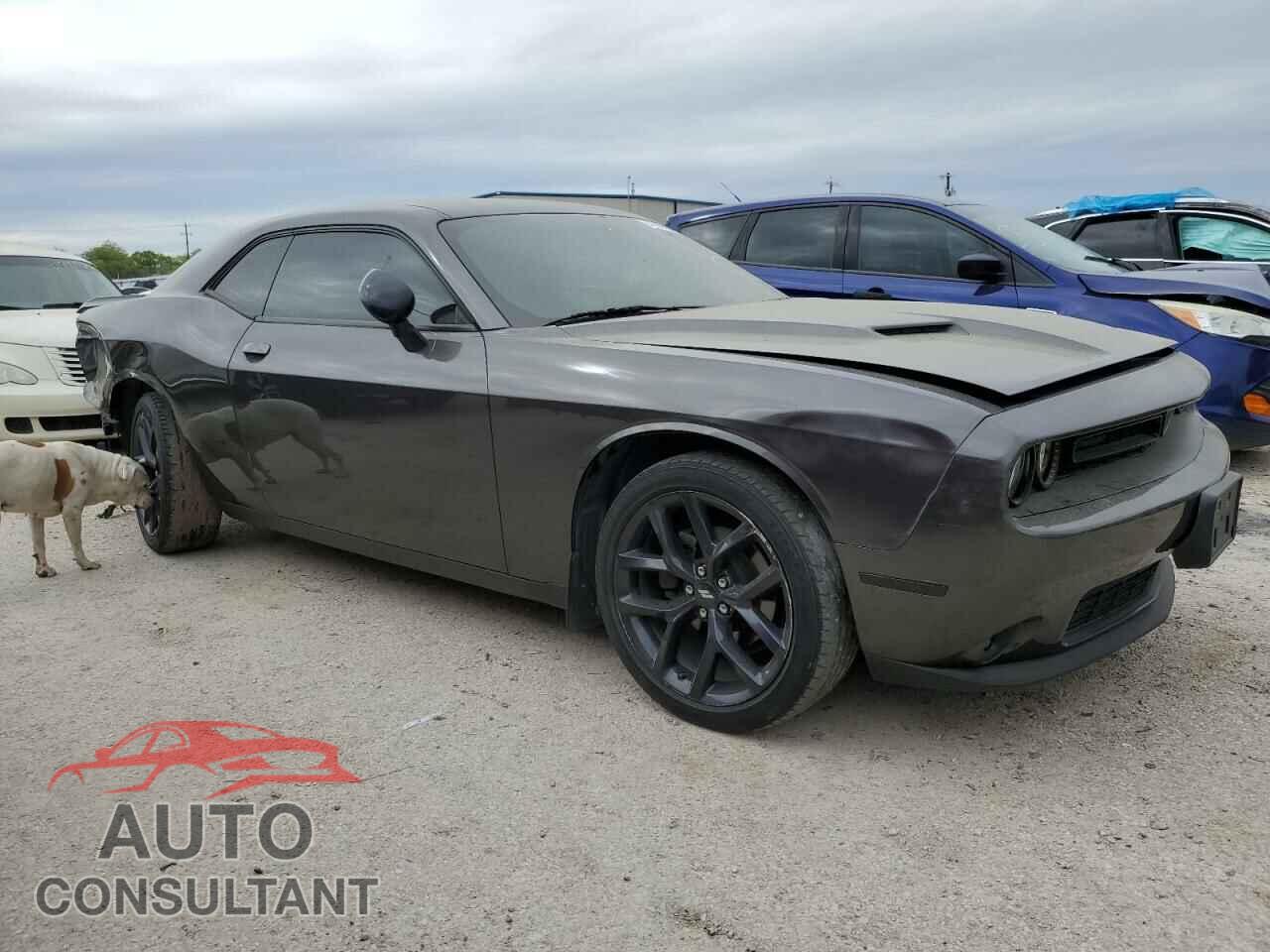 DODGE CHALLENGER 2020 - 2C3CDZAG1LH161480