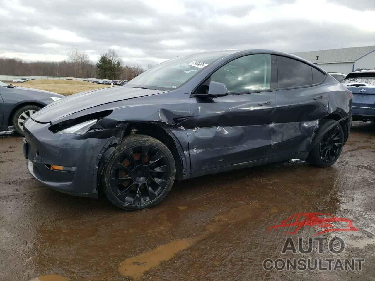 TESLA MODEL Y 2022 - 7SAYGDEE2NF481388