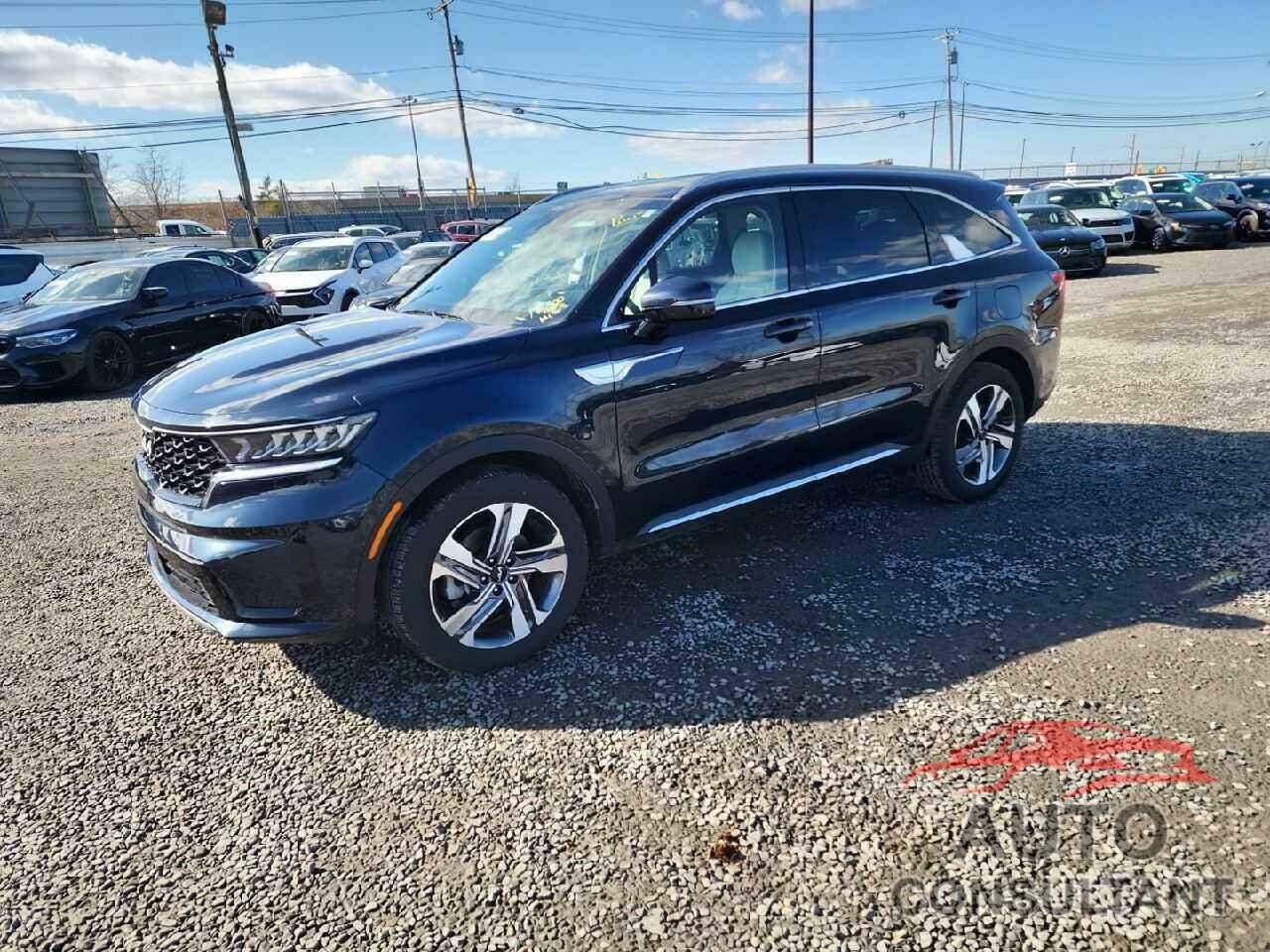 KIA SORENTO 2024 - KNDRHDLG3R5236478