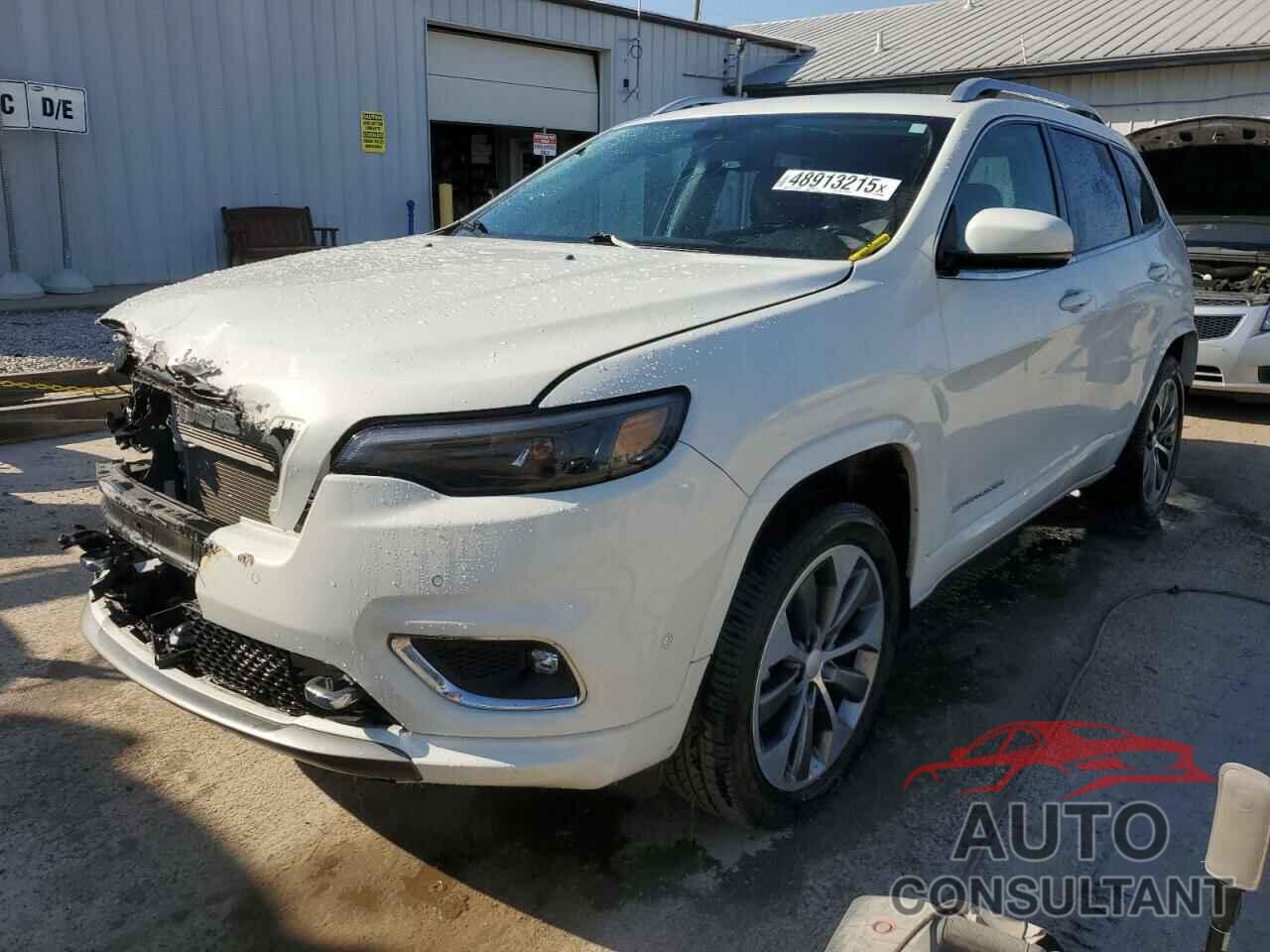 JEEP CHEROKEE 2019 - 1C4PJMJN1KD174216
