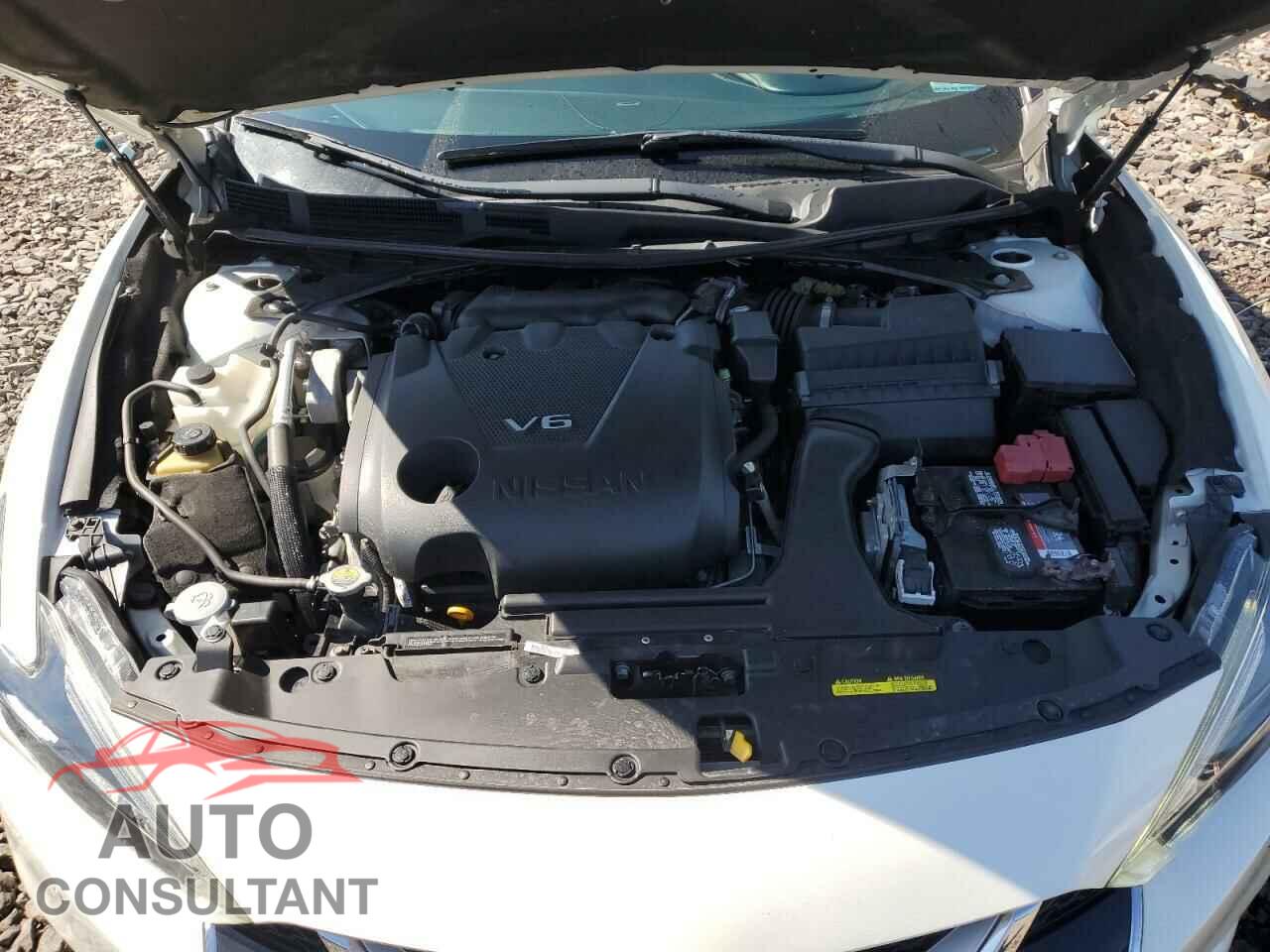 NISSAN MAXIMA 2017 - 1N4AA6AP1HC435724