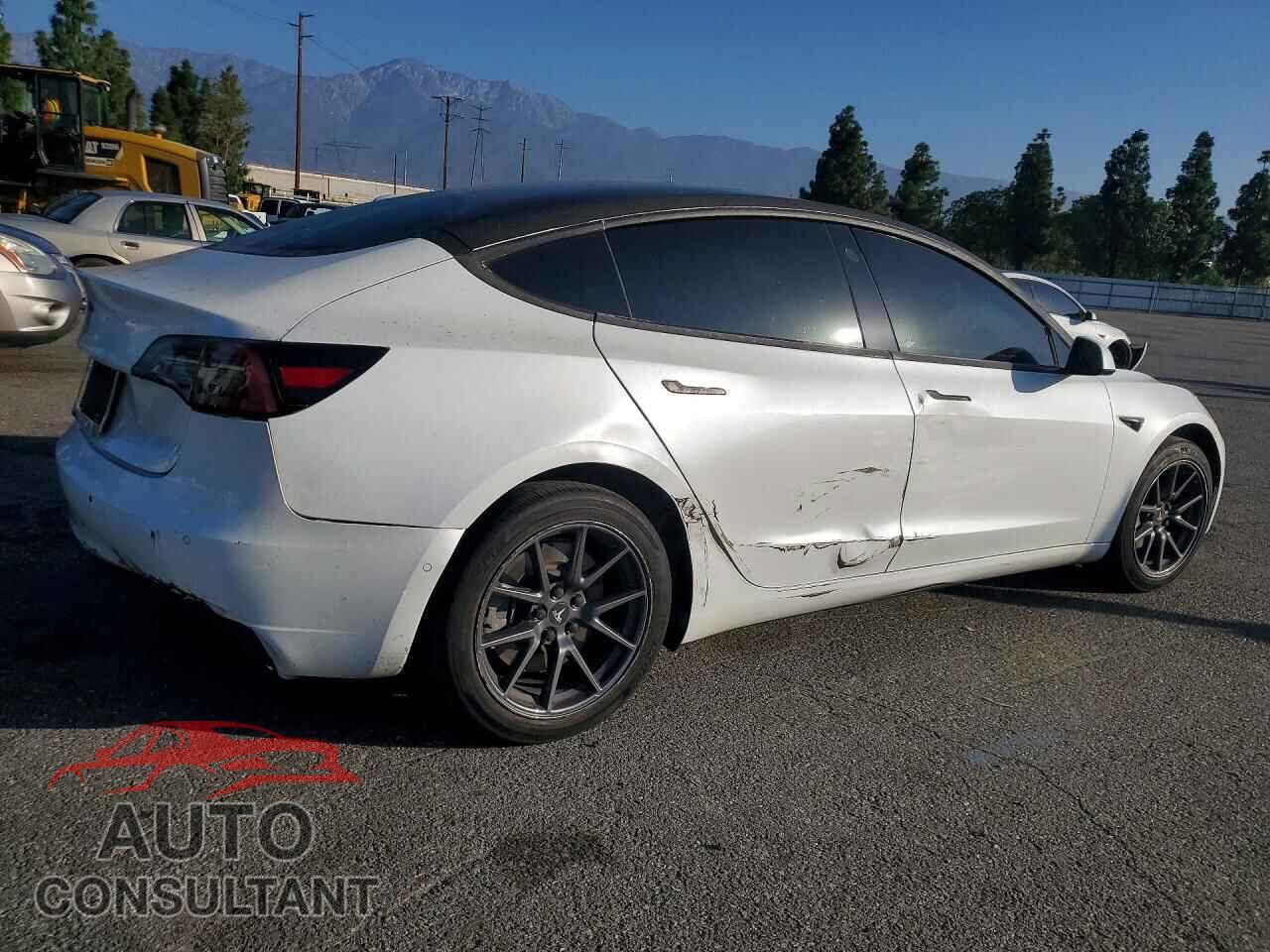 TESLA MODEL 3 2019 - 5YJ3E1EA5KF299883