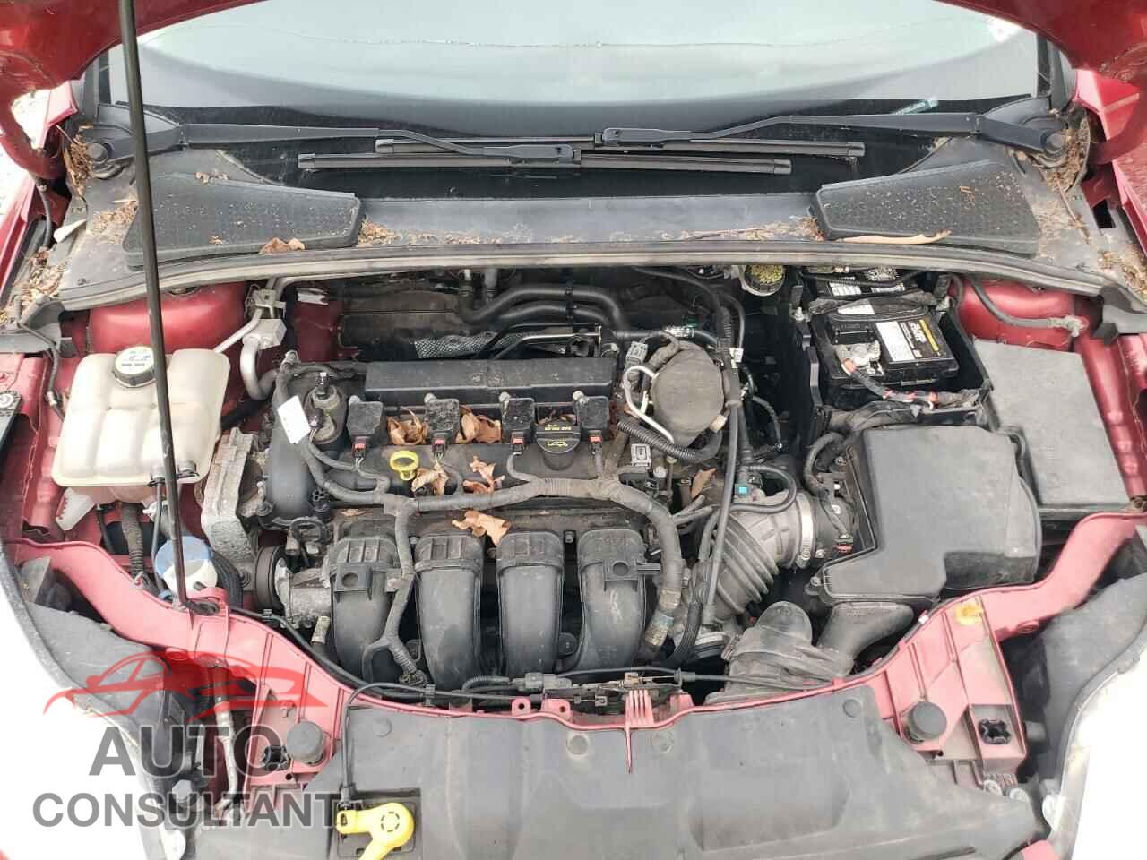 FORD FOCUS 2012 - 1FAHP3F28CL475039