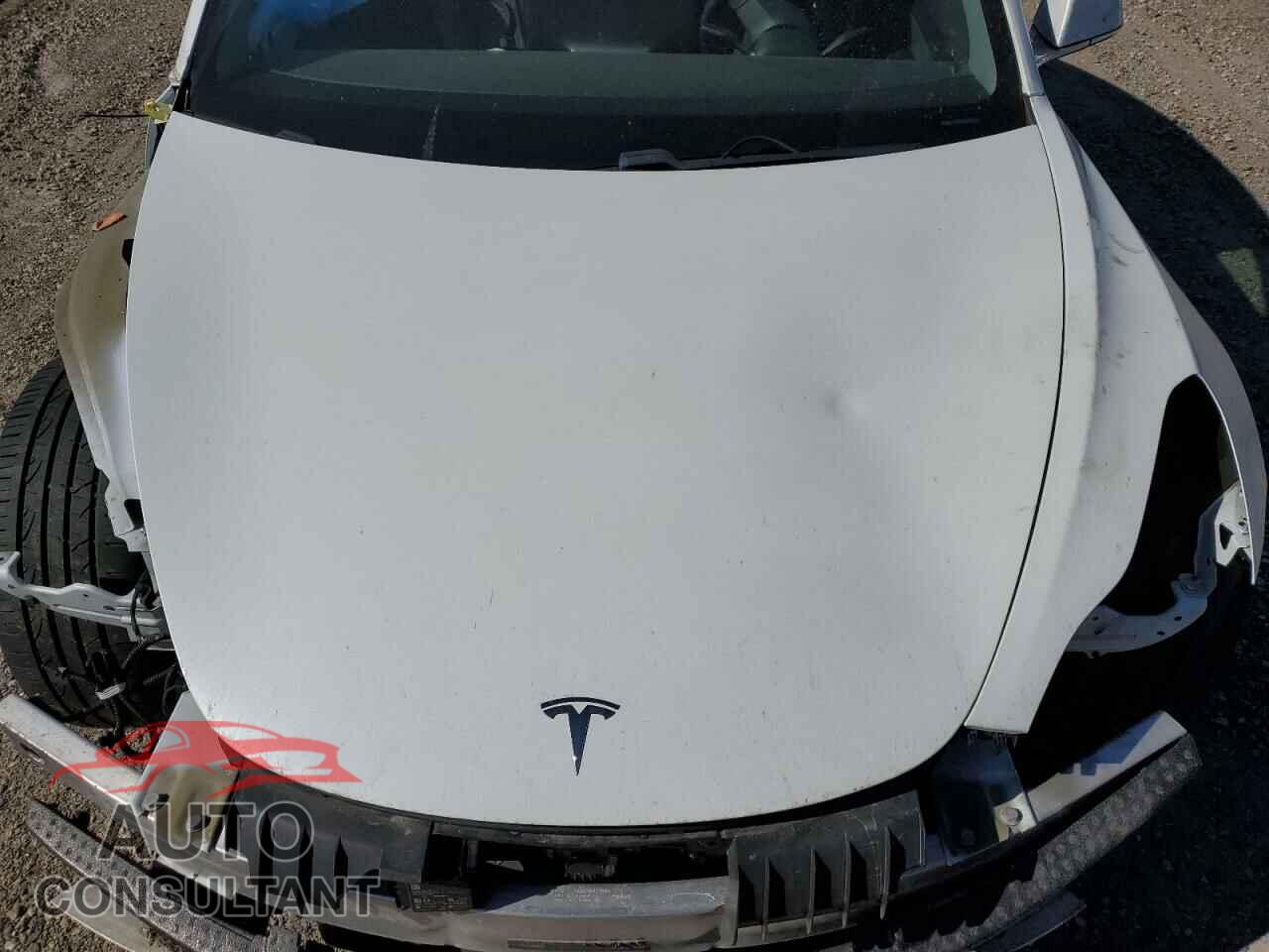 TESLA MODEL 3 2019 - 5YJ3E1EB4KF451841