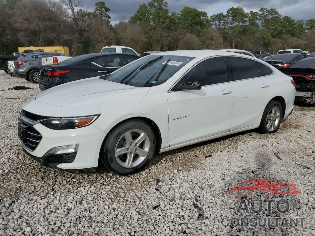 CHEVROLET MALIBU 2019 - 1G1ZC5ST4KF209415
