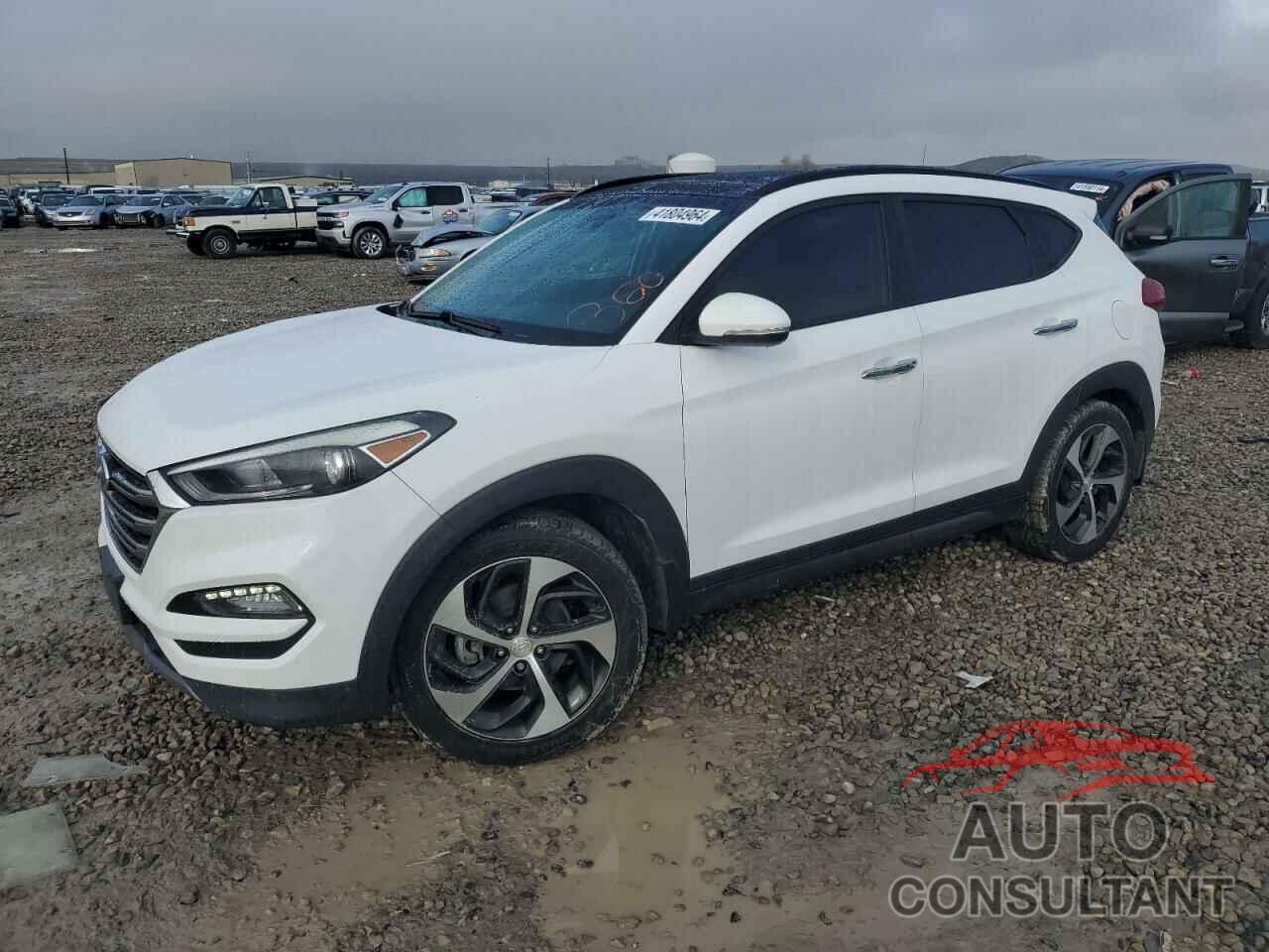 HYUNDAI TUCSON 2016 - KM8J3CA22GU161736