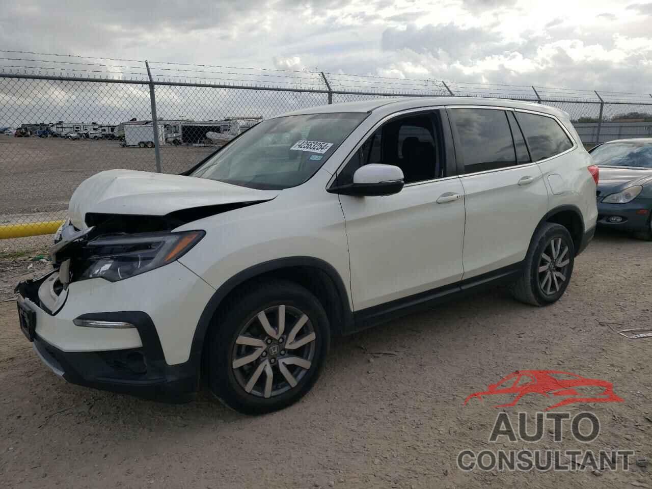 HONDA PILOT 2019 - 5FNYF5H31KB031341