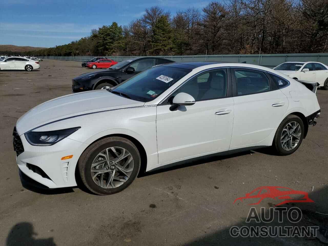 HYUNDAI SONATA 2022 - KMHL14JA1NA206529