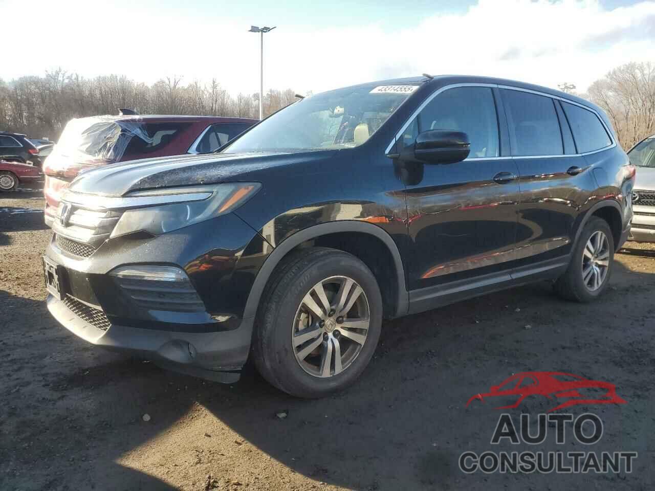 HONDA PILOT 2016 - 5FNYF6H81GB004360