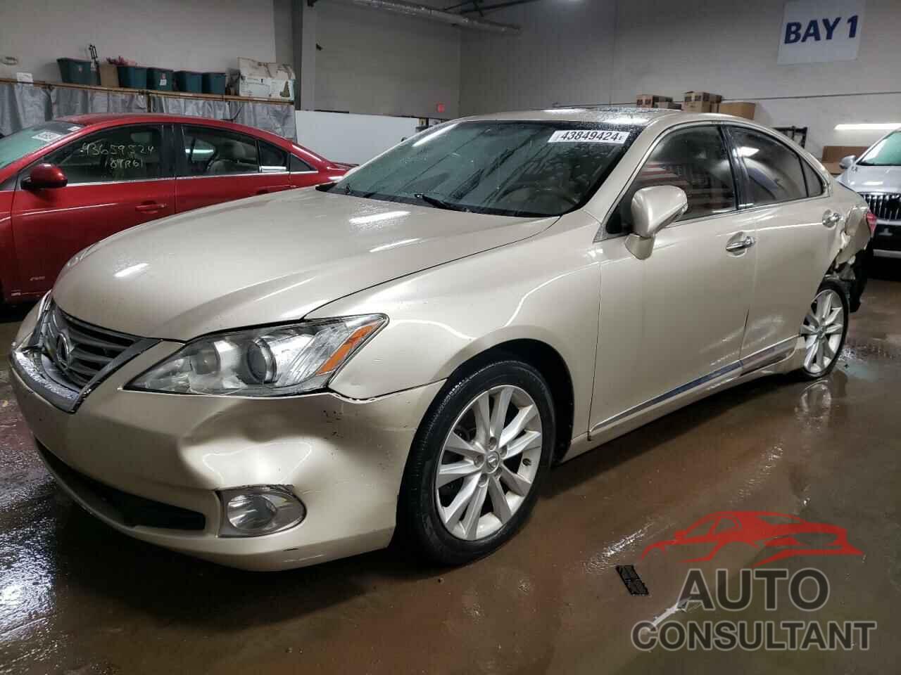 LEXUS ES350 2011 - JTHBK1EG6B2466245