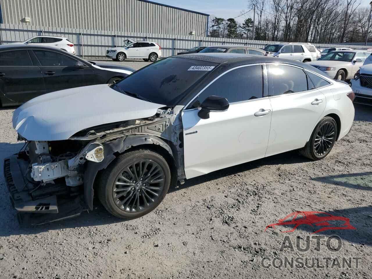 TOYOTA AVALON 2019 - 4T1B21FB9KU006159