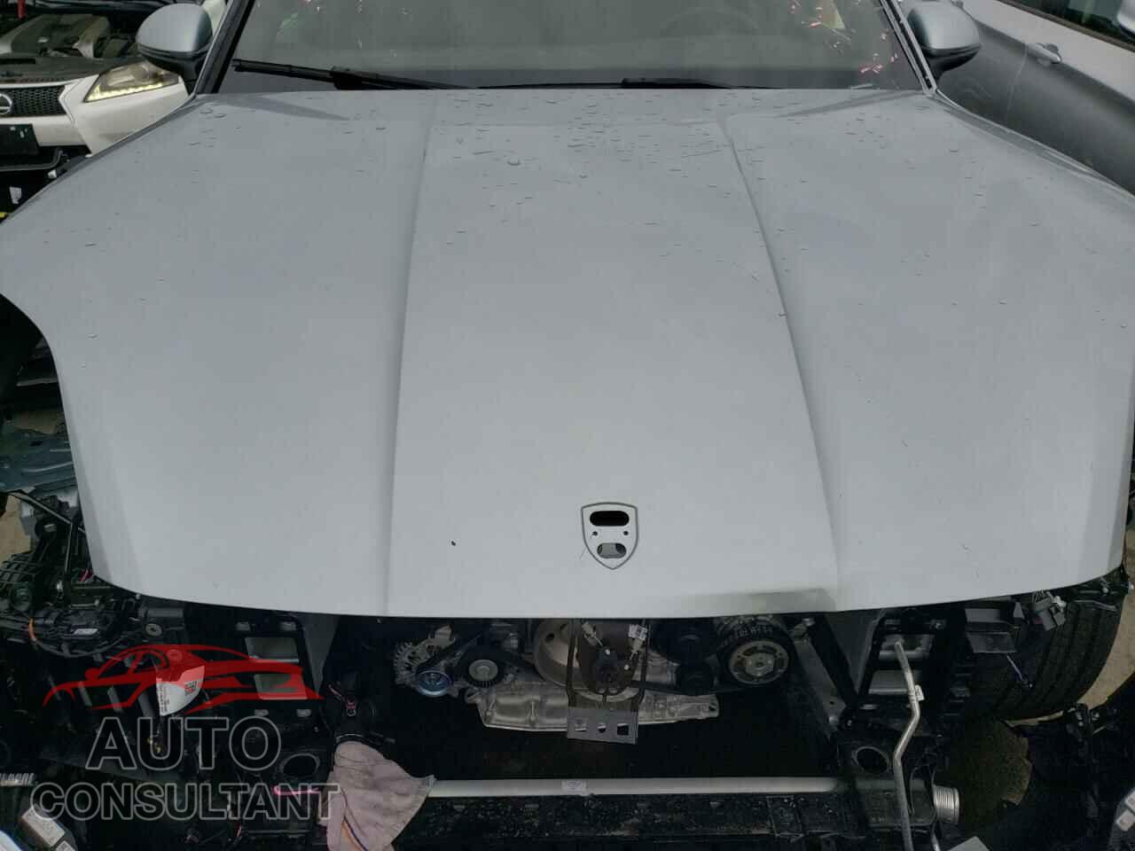 PORSCHE CAYENNE 2024 - WP1AA2AY5RDA01487