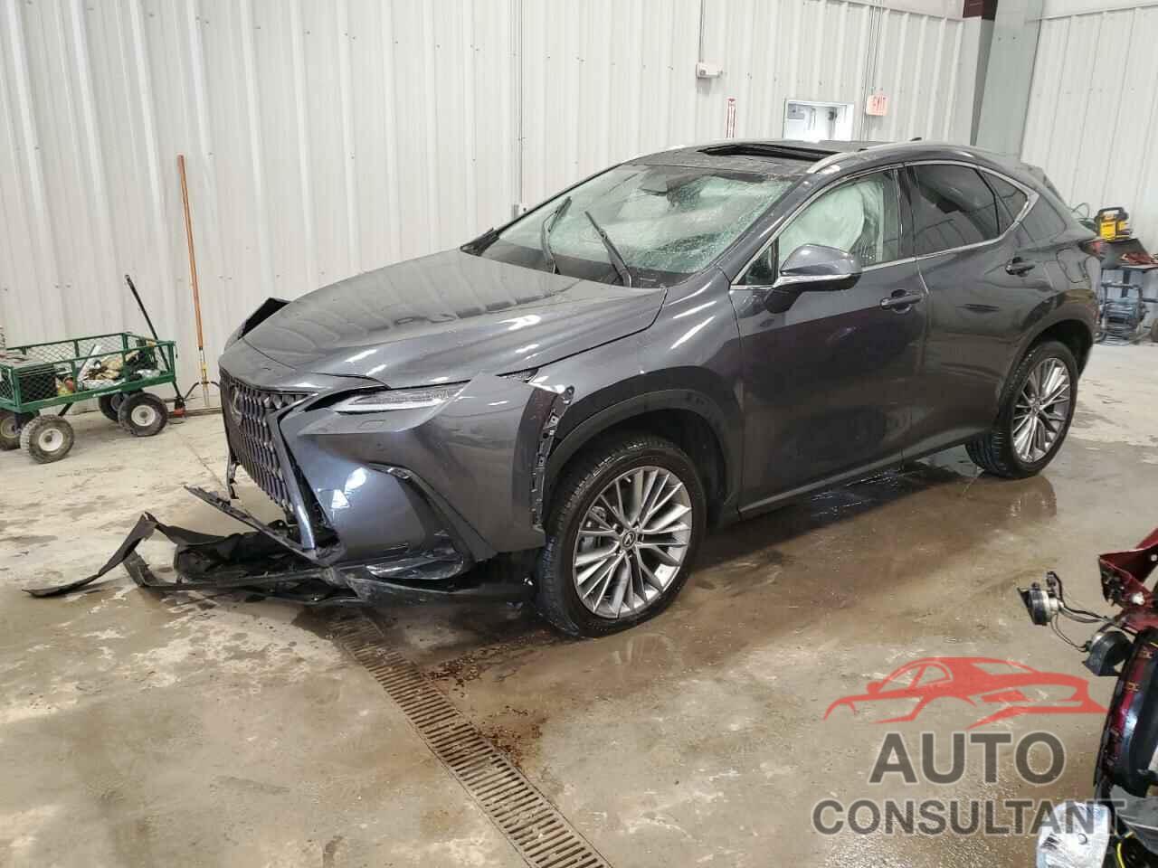 LEXUS NX 350 2023 - 2T2HGCEZ3PC026465