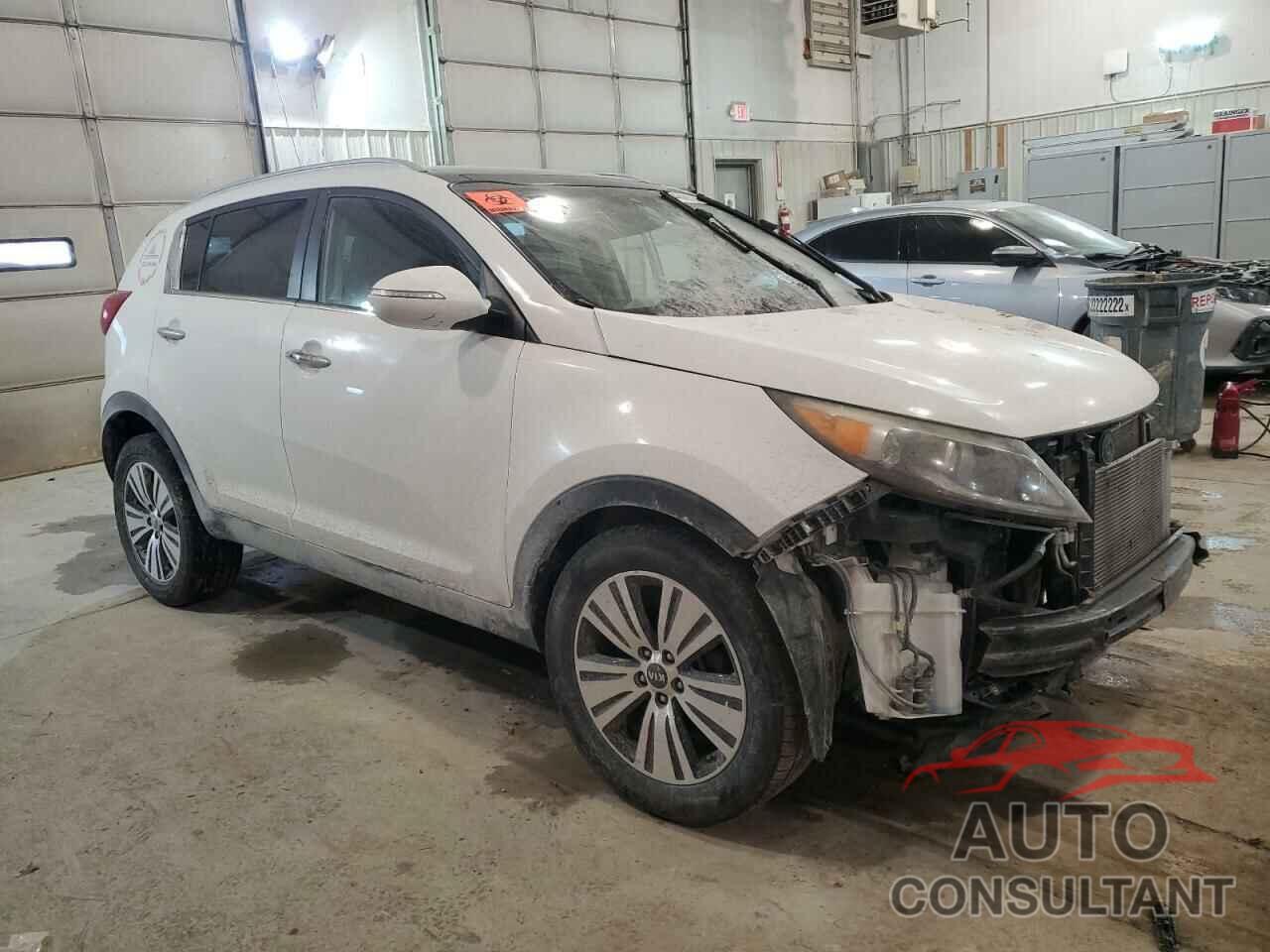 KIA SPORTAGE 2016 - KNDPC3ACXG7803478