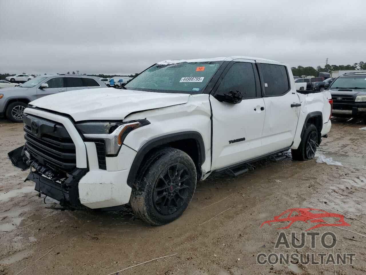 TOYOTA TUNDRA 2024 - 5TFLA5DB2RX215967