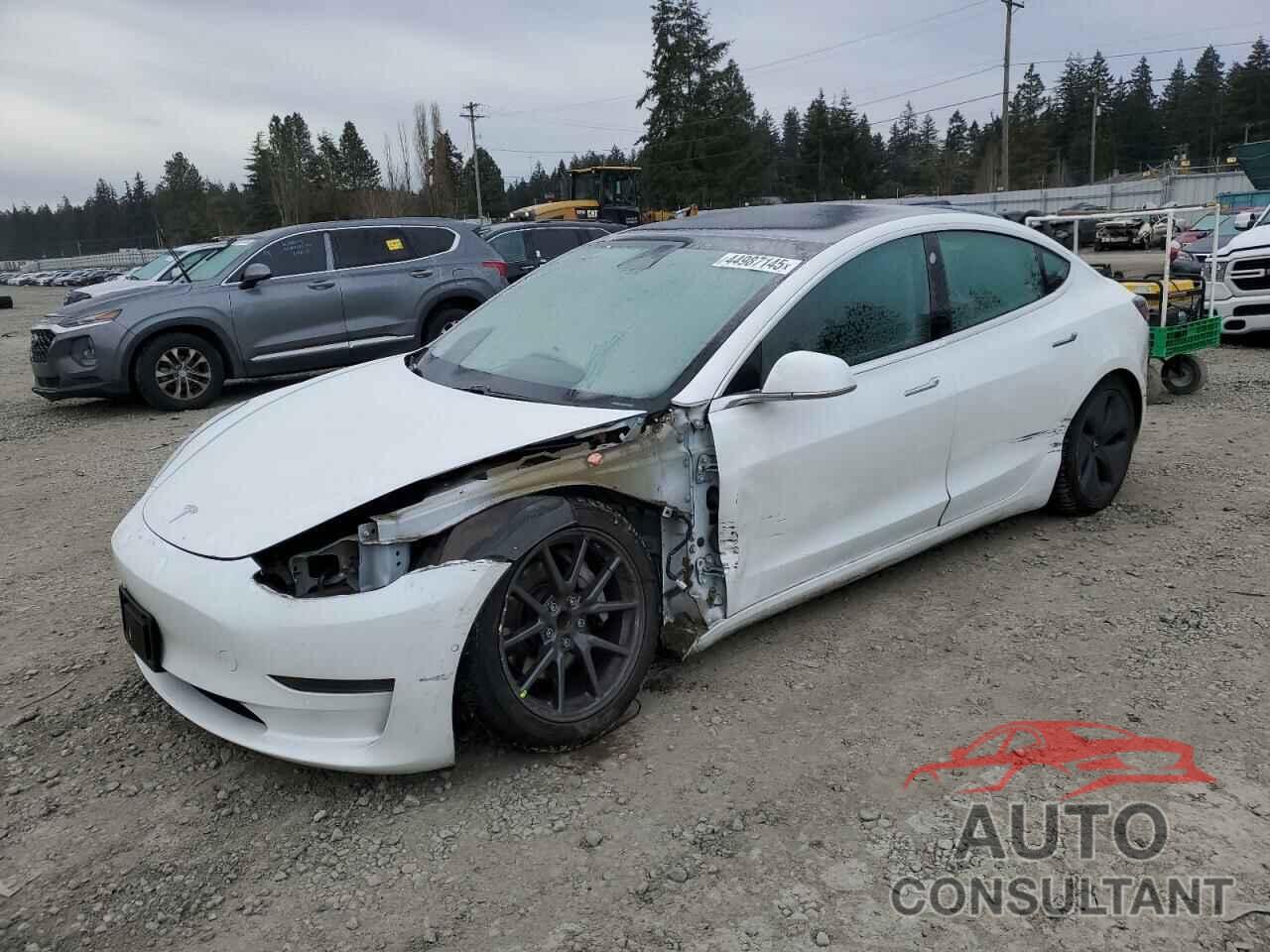 TESLA MODEL 3 2019 - 5YJ3E1EA7KF483593