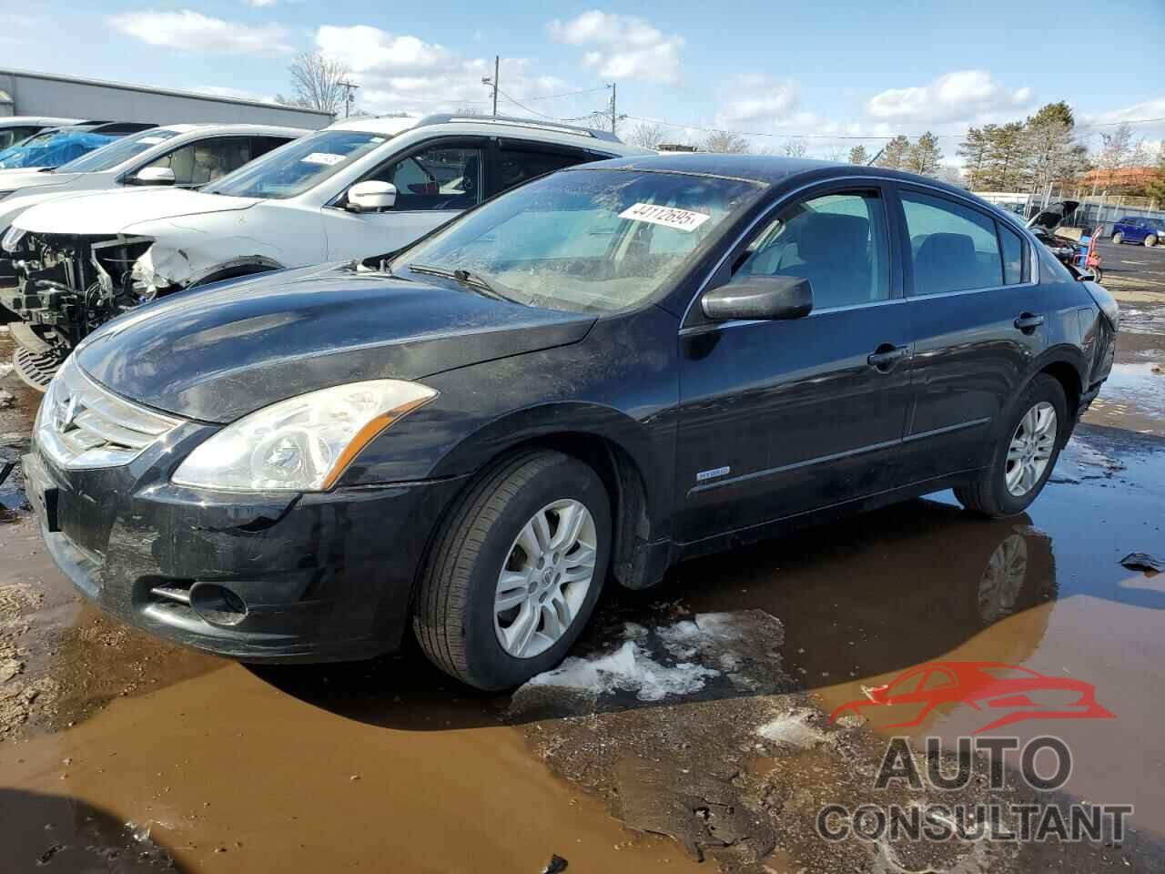 NISSAN ALTIMA 2011 - 1N4CL2AP7BC185845