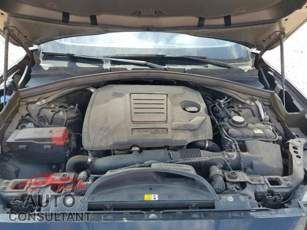 JAGUAR UNKNOWN 2019 - SADCK2FX7KA358656