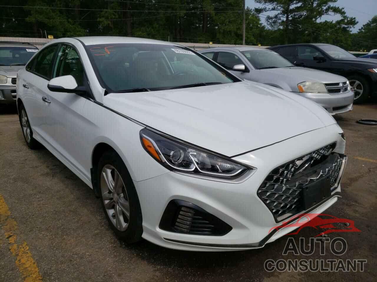 HYUNDAI SONATA 2019 - 5NPE34AF6KH764268