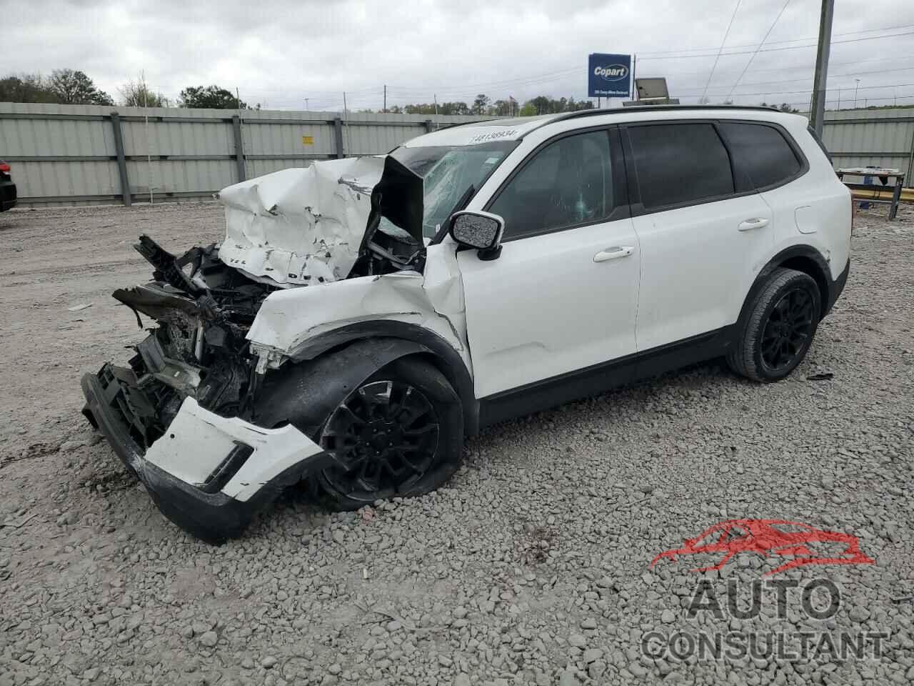 KIA TELLURIDE 2021 - 5XYP5DHCXMG101276