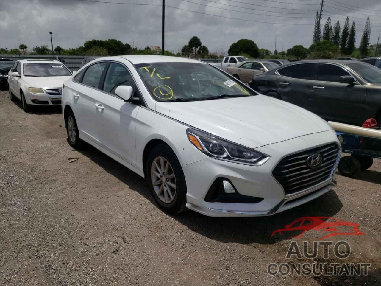 HYUNDAI SONATA 2019 - 5NPE24AF4KH743129