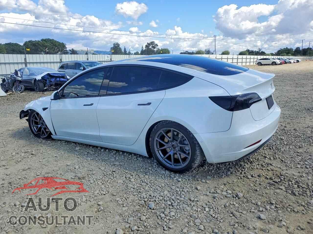 TESLA MODEL 3 2021 - 5YJ3E1EA1MF868103