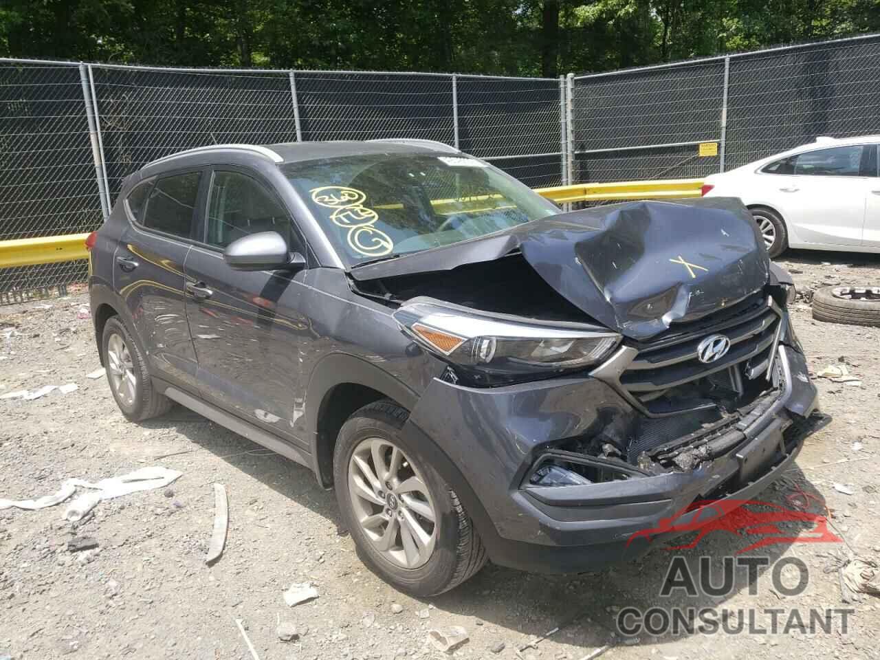 HYUNDAI TUCSON 2017 - KM8J3CA43HU293505