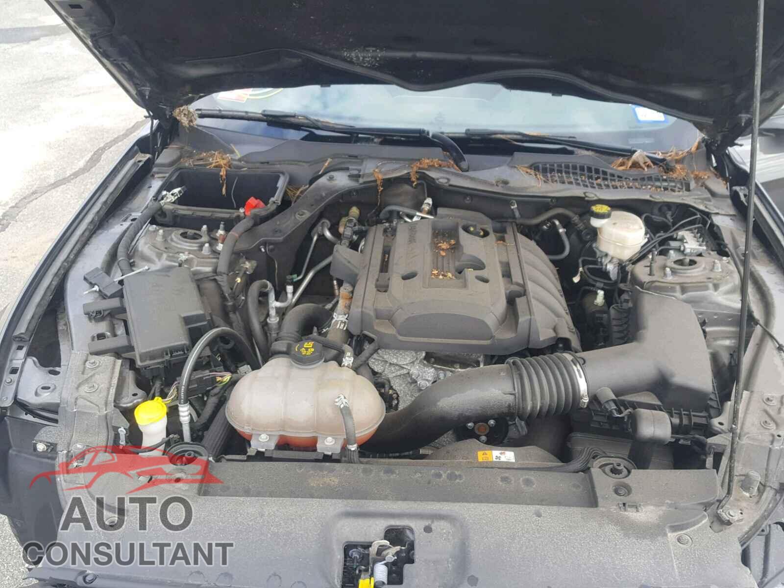 FORD MUSTANG 2016 - 1FA6P8TH3G5266637