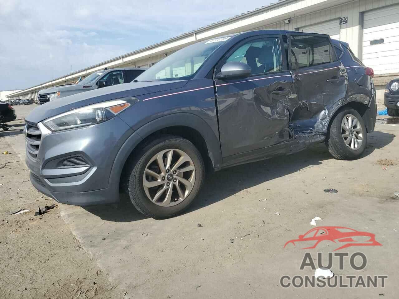 HYUNDAI TUCSON 2017 - KM8J23A46HU262008