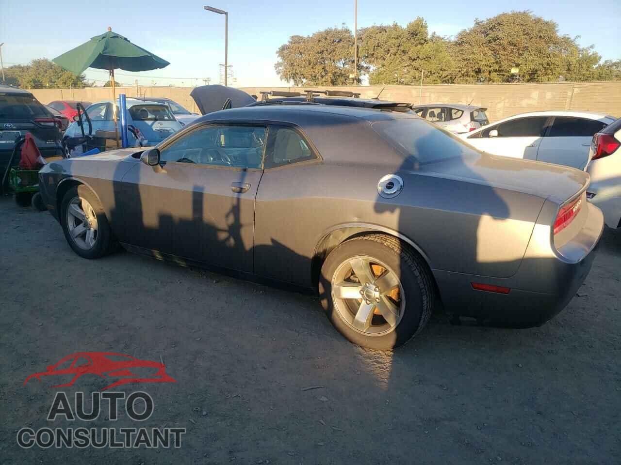 DODGE CHALLENGER 2012 - 2C3CDYAG6CH171111